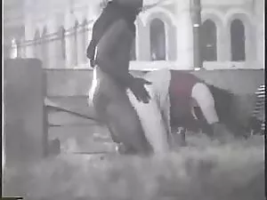 ROKO VIDEO-Rita Dani ...