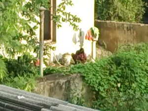 Bà già phim xxx xinh ...