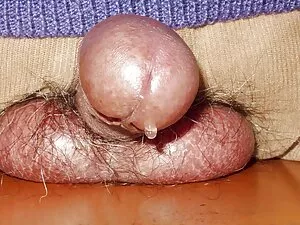 3 Busty báo sư tử cư ...